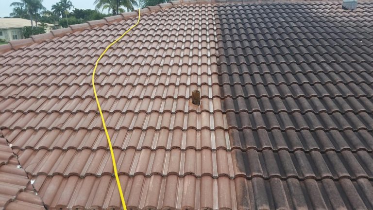 roof cleaning