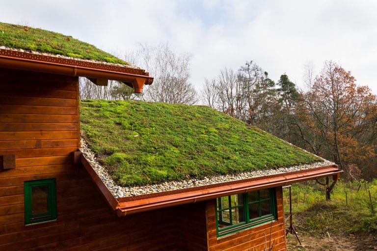 Read more about the article Environmentally Friendly Roofing Options